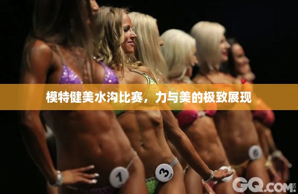 模特健美水溝比賽，力與美的極致展現(xiàn)