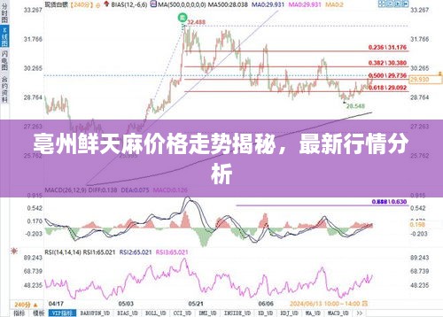 亳州鮮天麻價(jià)格走勢揭秘，最新行情分析