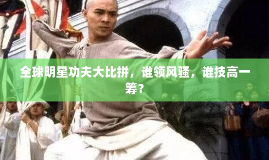全球明星功夫大比拼，誰領(lǐng)風(fēng)騷，誰技高一籌？