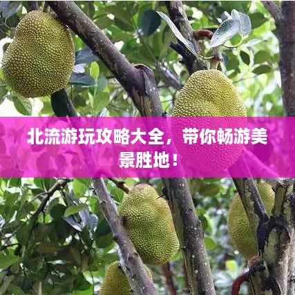 北流游玩攻略大全，帶你暢游美景勝地！