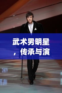 武術(shù)男明星，傳承與演繹的魅力展現(xiàn)