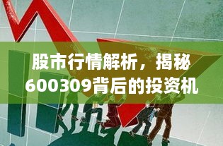股市行情解析，揭秘600309背后的投資機(jī)會(huì)與挑戰(zhàn)