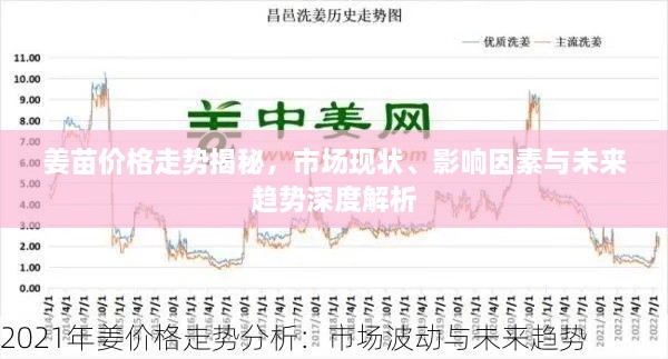 姜苗價(jià)格走勢(shì)揭秘，市場現(xiàn)狀、影響因素與未來趨勢(shì)深度解析