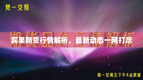 賓果期貨行情解析，最新動(dòng)態(tài)一網(wǎng)打盡