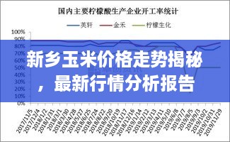 新鄉(xiāng)玉米價格走勢揭秘，最新行情分析報(bào)告