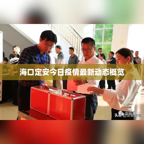 ?？诙ò步袢找咔樽钚聞討B(tài)概覽