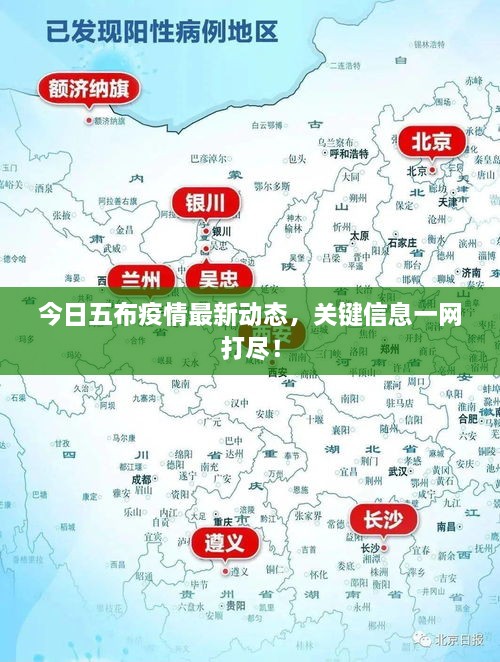 今日五布疫情最新動(dòng)態(tài)，關(guān)鍵信息一網(wǎng)打盡！