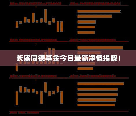 長盛同德基金今日最新凈值揭曉！
