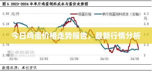 今日雞蛋價格走勢報告，最新行情分析