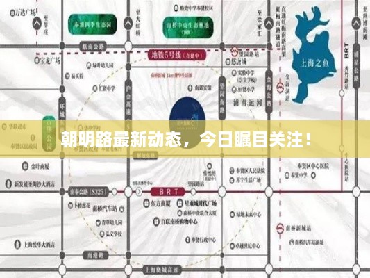 朝明路最新動(dòng)態(tài)，今日矚目關(guān)注！