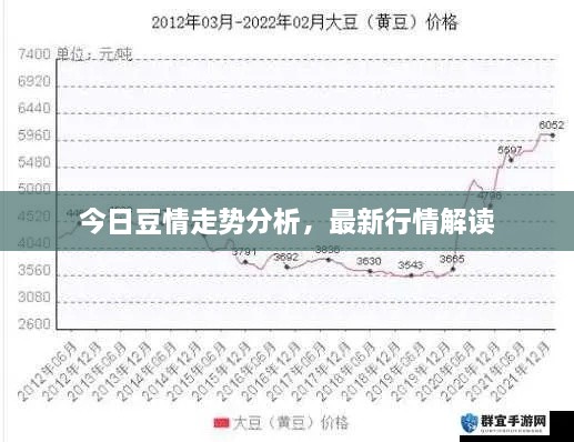 今日豆情走勢分析，最新行情解讀