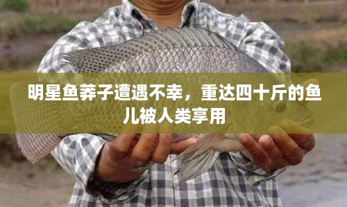 明星魚莽子遭遇不幸，重達(dá)四十斤的魚兒被人類享用