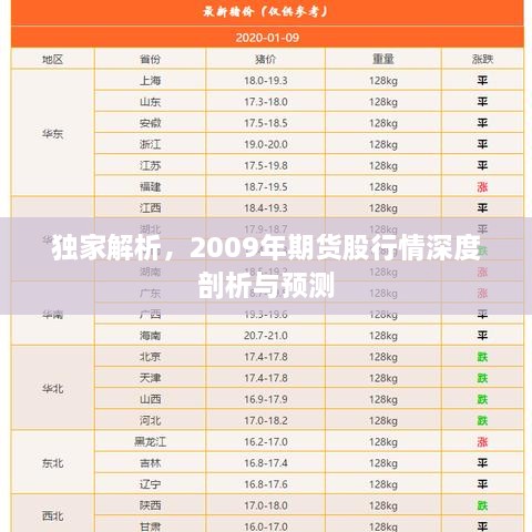獨家解析，2009年期貨股行情深度剖析與預(yù)測