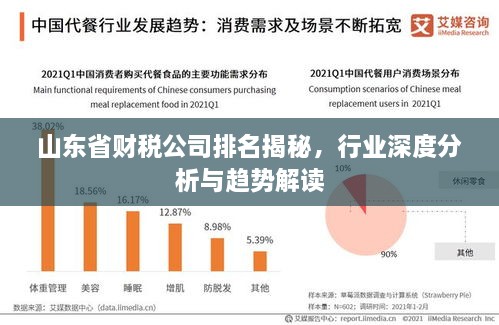 山東省財稅公司排名揭秘，行業(yè)深度分析與趨勢解讀