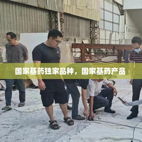 國家基藥獨家品種，國家基藥產品 