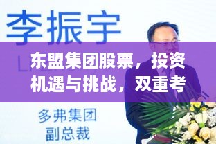 東盟集團股票，投資機遇與挑戰(zhàn)，雙重考量不容錯過
