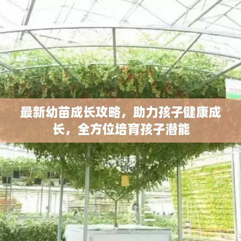 最新幼苗成長(zhǎng)攻略，助力孩子健康成長(zhǎng)，全方位培育孩子潛能