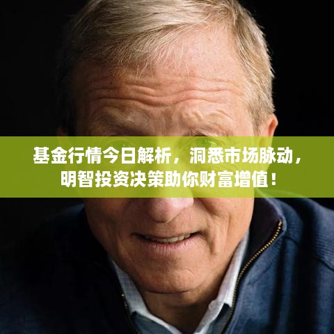 基金行情今日解析，洞悉市場脈動，明智投資決策助你財富增值！