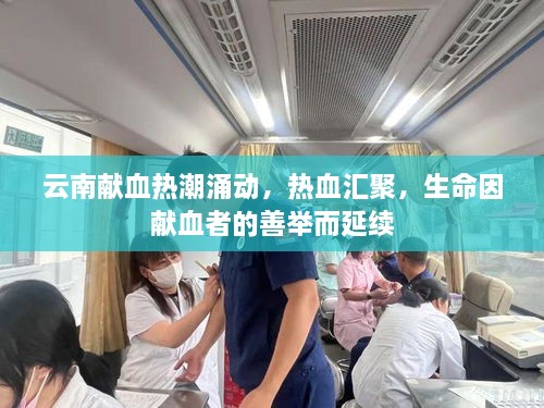 云南獻(xiàn)血熱潮涌動(dòng)，熱血匯聚，生命因獻(xiàn)血者的善舉而延續(xù)