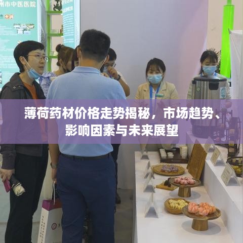 薄荷藥材價(jià)格走勢(shì)揭秘，市場(chǎng)趨勢(shì)、影響因素與未來展望