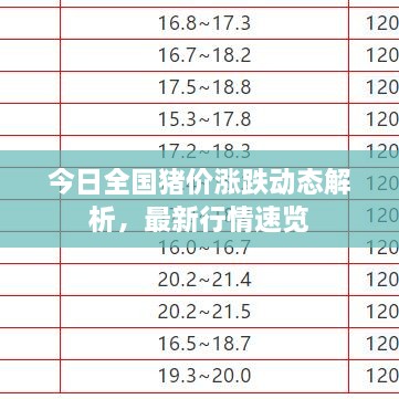 今日全國豬價(jià)漲跌動態(tài)解析，最新行情速覽