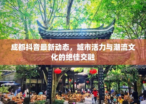 成都抖音最新動態(tài)，城市活力與潮流文化的絕佳交融