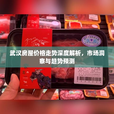 武漢房屋價格走勢深度解析，市場洞察與趨勢預(yù)測