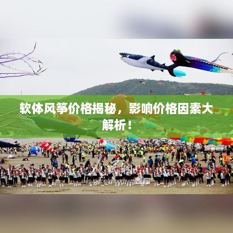 軟體風(fēng)箏價(jià)格揭秘，影響價(jià)格因素大解析！