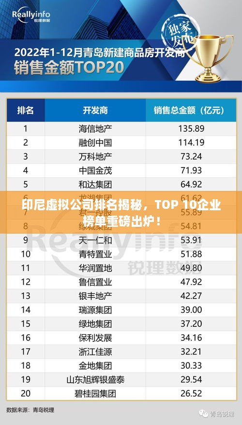 印尼虛擬公司排名揭秘，TOP 10企業(yè)榜單重磅出爐！