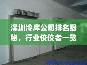 深圳冷庫公司排名揭秘，行業(yè)佼佼者一覽無余