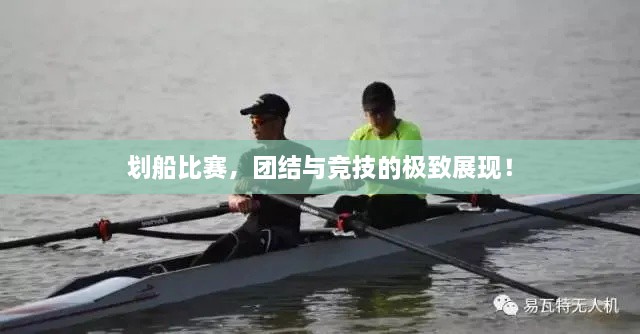 劃船比賽，團(tuán)結(jié)與競技的極致展現(xiàn)！