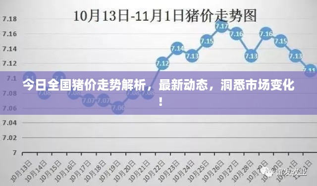 今日全國豬價(jià)走勢解析，最新動(dòng)態(tài)，洞悉市場變化！