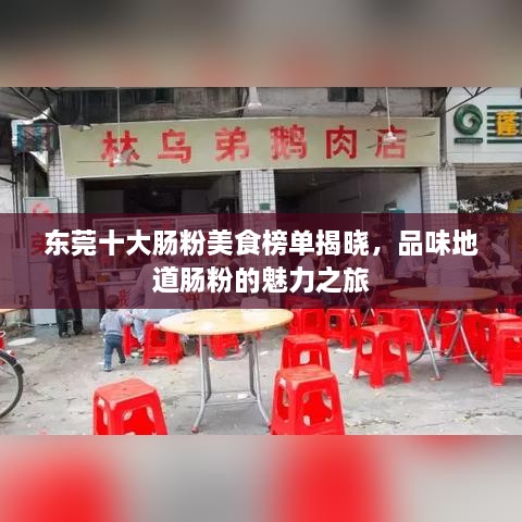東莞十大腸粉美食榜單揭曉，品味地道腸粉的魅力之旅