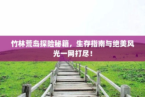 竹林荒島探險(xiǎn)秘籍，生存指南與絕美風(fēng)光一網(wǎng)打盡！