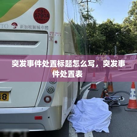 突發(fā)事件處置標(biāo)題怎么寫，突發(fā)事件處置表 