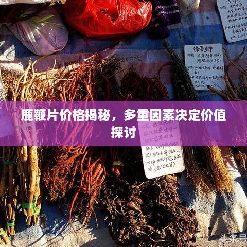 鹿鞭片價格揭秘，多重因素決定價值探討