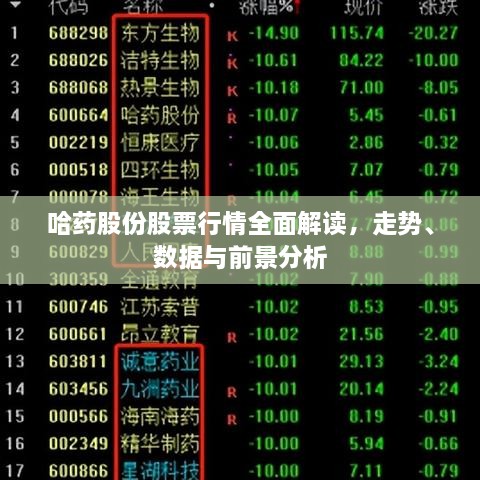 哈藥股份股票行情全面解讀，走勢、數(shù)據(jù)與前景分析