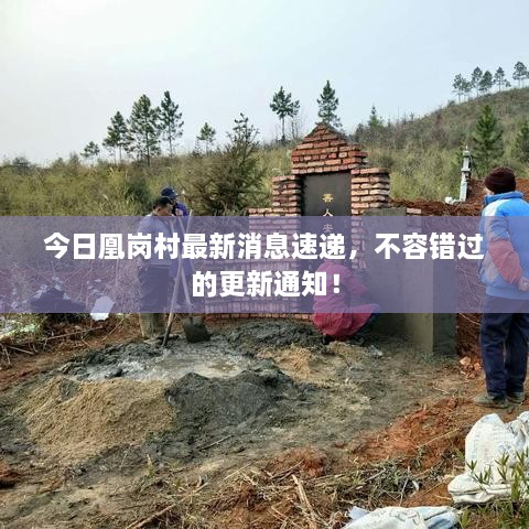 今日凰崗村最新消息速遞，不容錯(cuò)過(guò)的更新通知！