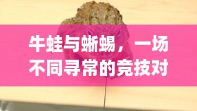 牛蛙與蜥蜴，一場不同尋常的競技對決