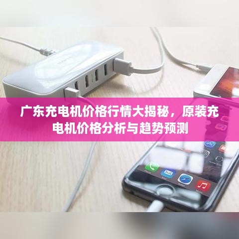 廣東充電機價格行情大揭秘，原裝充電機價格分析與趨勢預測
