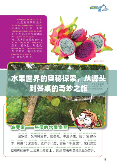 水果世界的奧秘探索，從源頭到餐桌的奇妙之旅