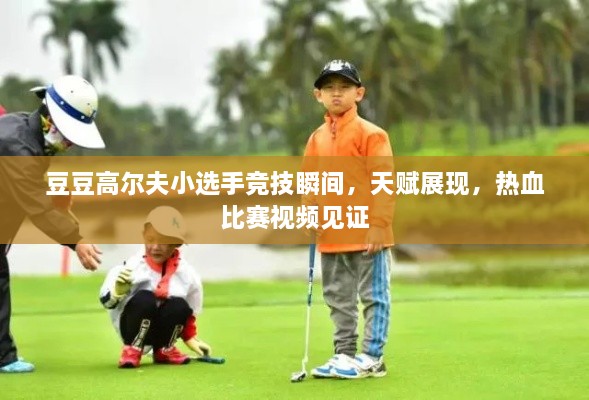 豆豆高爾夫小選手競技瞬間，天賦展現(xiàn)，熱血比賽視頻見證