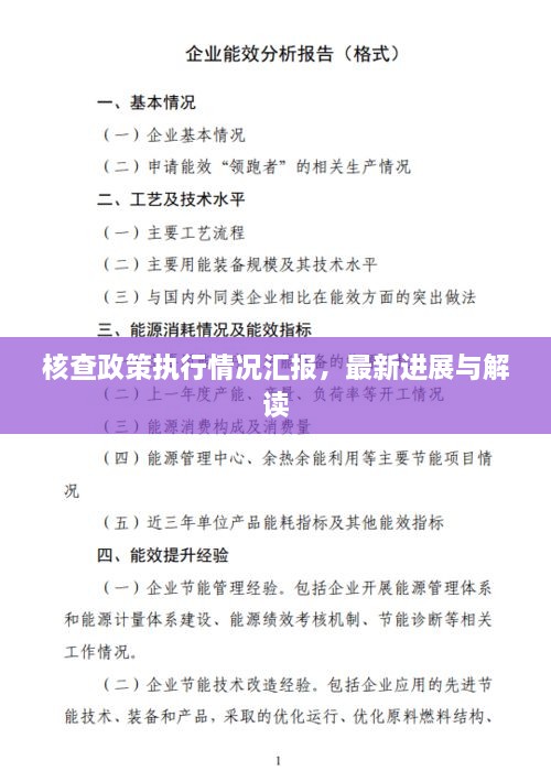 核查政策執(zhí)行情況匯報(bào)，最新進(jìn)展與解讀