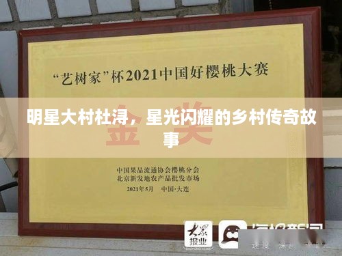 明星大村杜潯，星光閃耀的鄉(xiāng)村傳奇故事