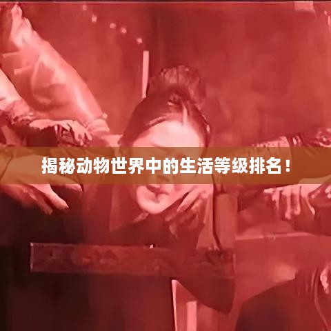 揭秘動物世界中的生活等級排名！