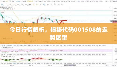 今日行情解析，揭秘代碼001508的走勢展望
