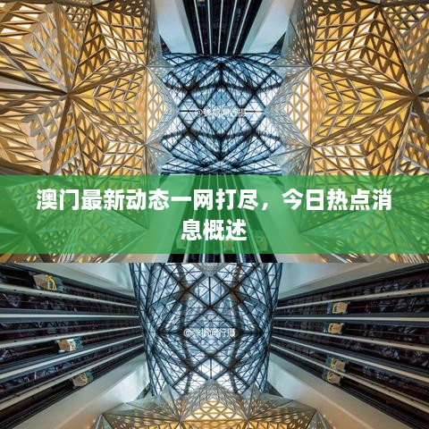 澳門最新動態(tài)一網(wǎng)打盡，今日熱點(diǎn)消息概述