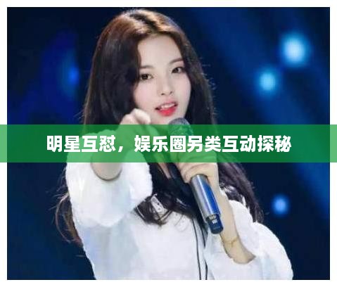 明星互懟，娛樂圈另類互動(dòng)探秘