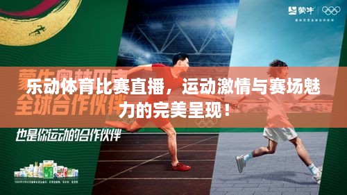 樂動(dòng)體育比賽直播，運(yùn)動(dòng)激情與賽場(chǎng)魅力的完美呈現(xiàn)！