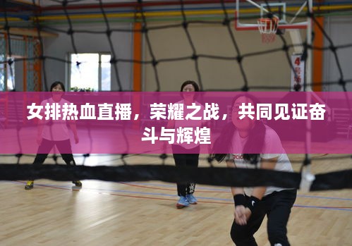 女排熱血直播，榮耀之戰(zhàn)，共同見證奮斗與輝煌